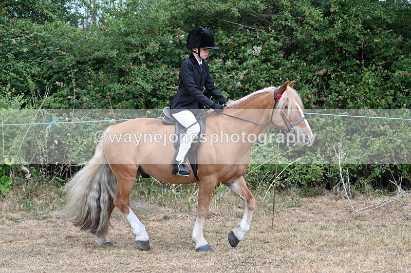 WJ7_6950 - Class 2 Best Rider