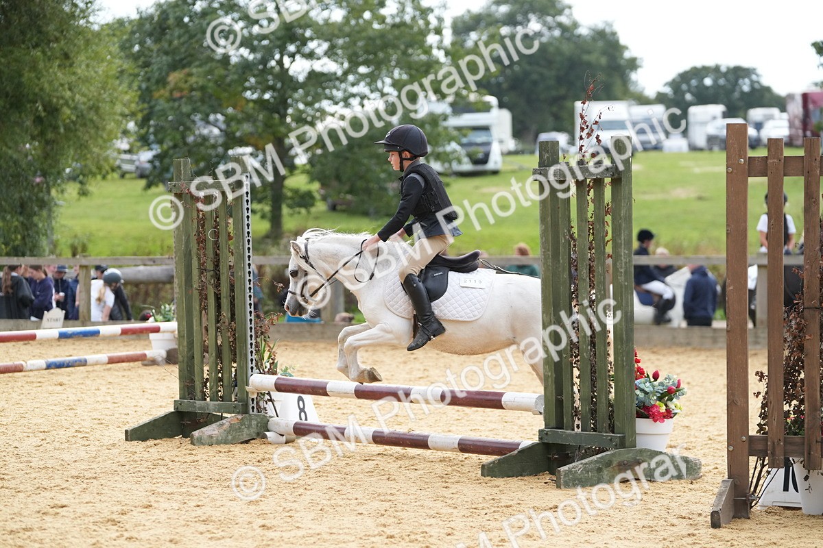 SBM_74698 - J4 - Mini Tour Junior Pony 45cm Championship