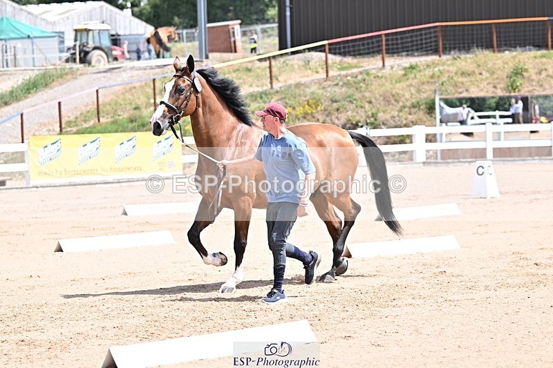 250716-124705-00166 - Trot Up 12.30 to 1.30