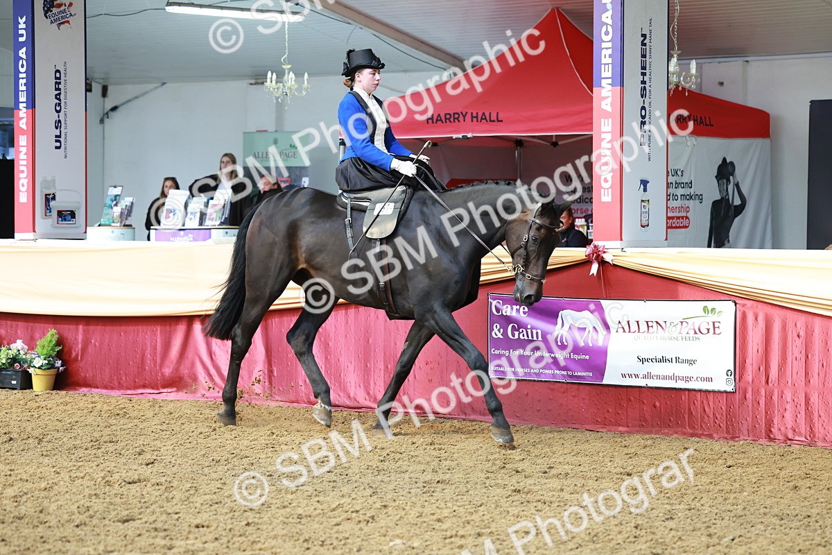 SBM_13541 - Class 105 - Ridden Costume - Side Saddle