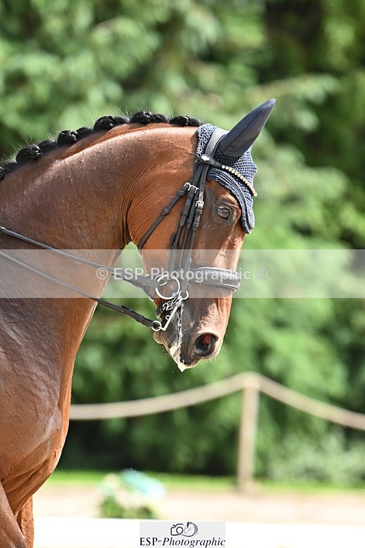 240811-144120-06410 - 205-Georgia.Stokes-SOS.Johnny.Cash.VDL