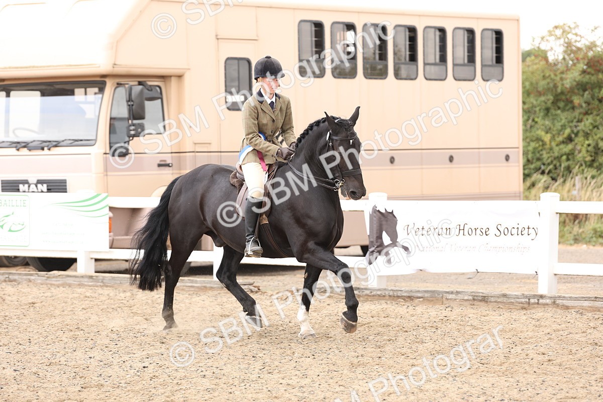 SBM_02956 - Class 53 - Ridden Competition Horse/Pony