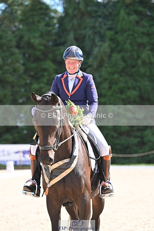 240809-162429-02353 - Preliminary Gold