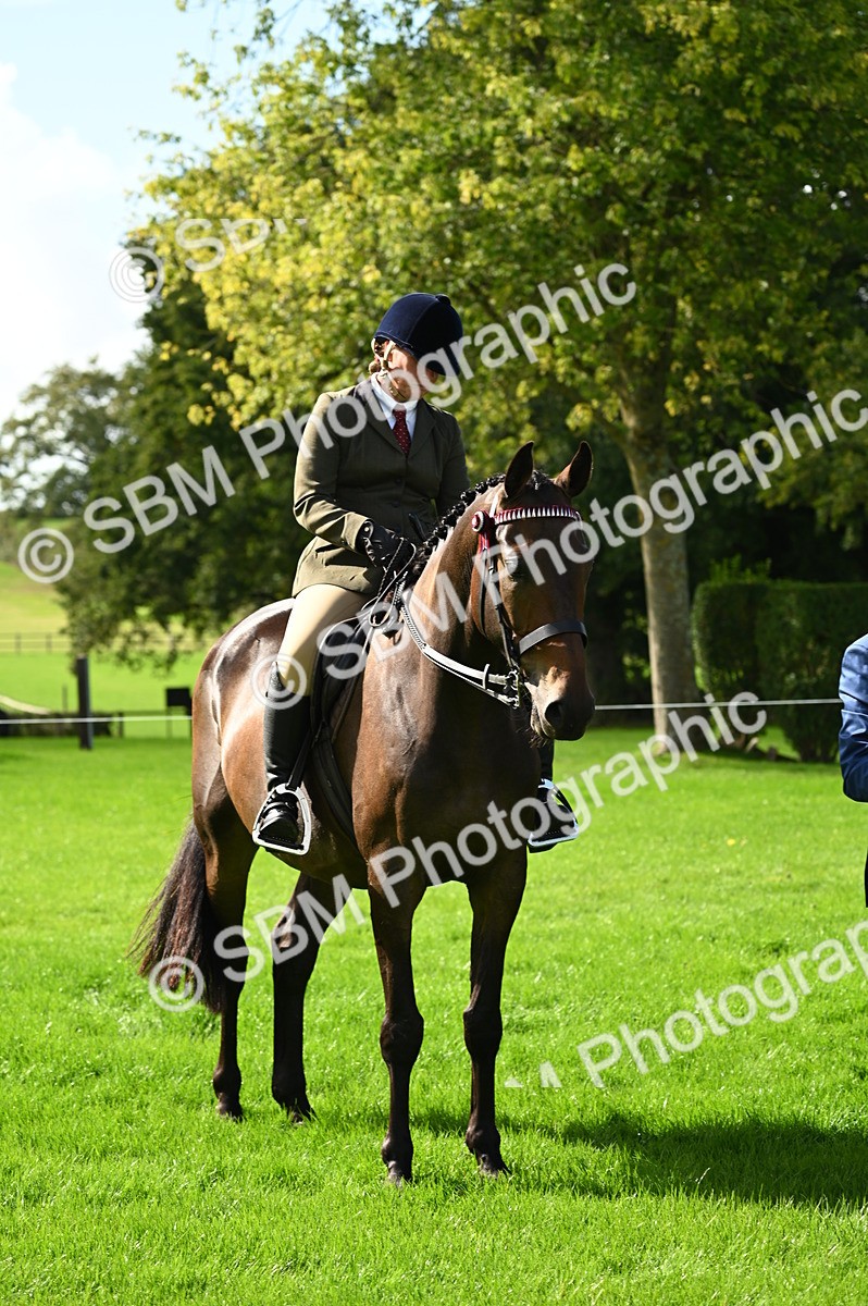 SBM_02103 - S2 - TSR Ridden Horse Showing
