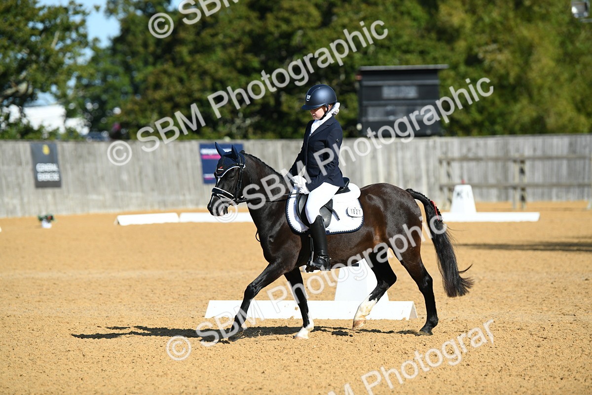 SBM_16309 - D4 - Small Tour Championship - Intro B