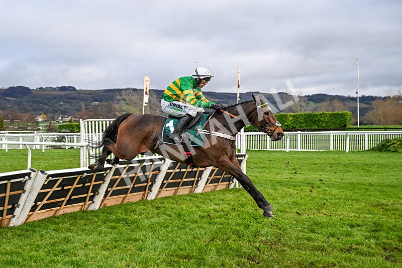 121225-Race 3-Iberico Lord-5048 - Race 3