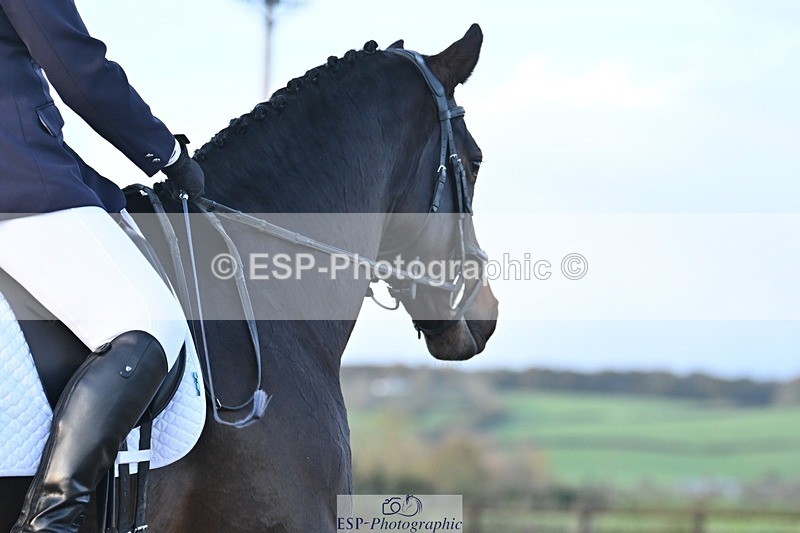 231105-160546-04021 - Cls 4 Novice 24 15.24 to 16.35 break