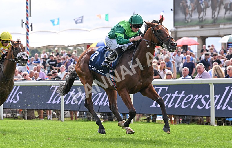 190826-046 Haffner - Race 2 14.25pm Tattersalls Acomb Stakes