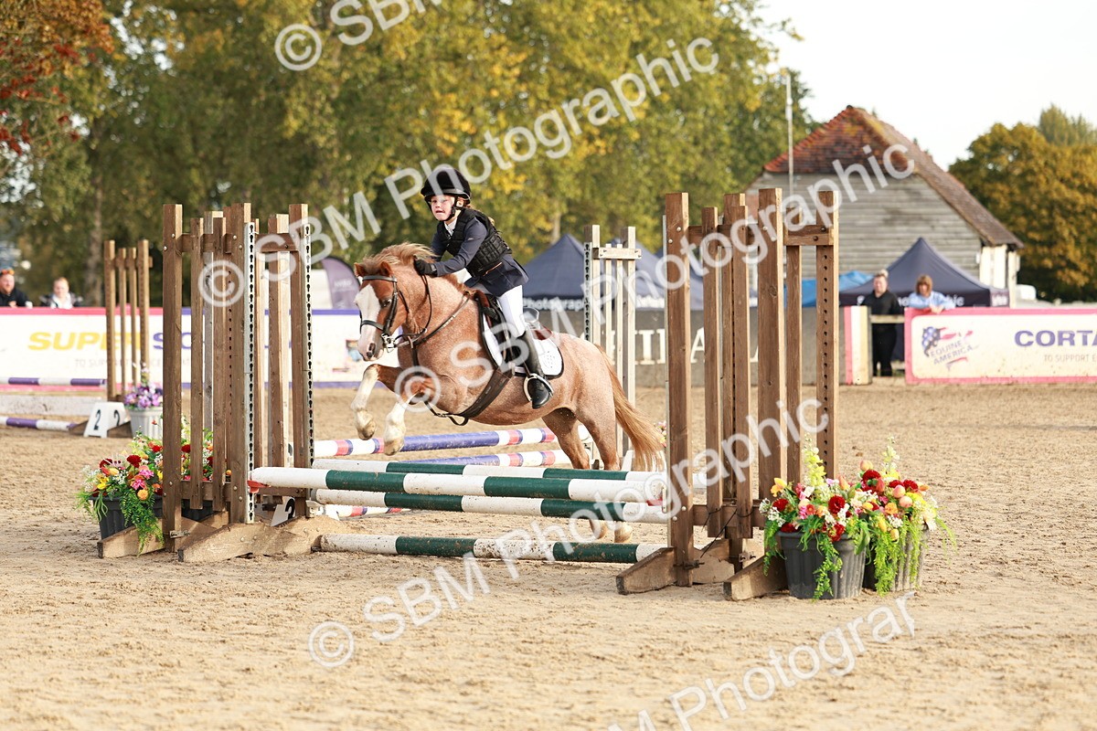 SBM_55540 - J11 - Junior Pony 50cm Championship