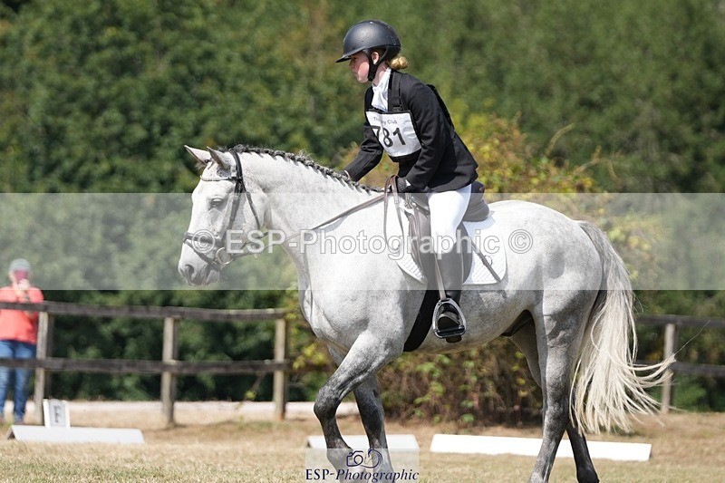 250823A-134900-31254 - Arena A