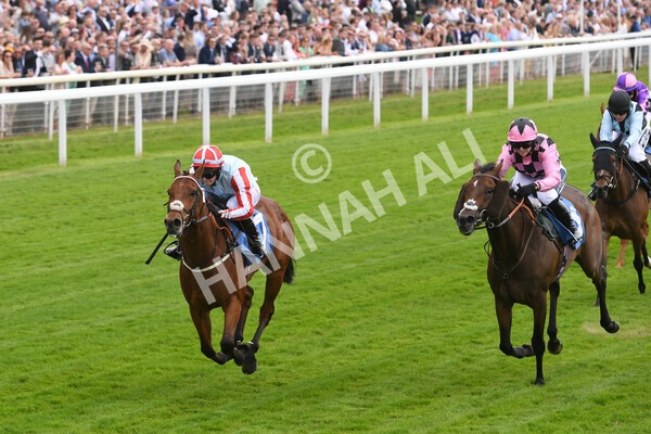 yr11062022r2-65 - Race 2 2.00pm Queen Mother's Cup