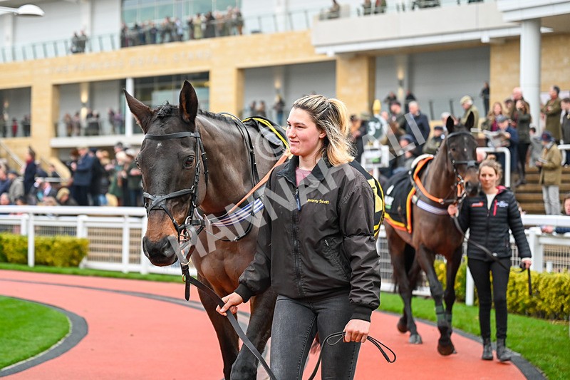 131224-Race 5-Dashel Drasher-9817 - Race 5