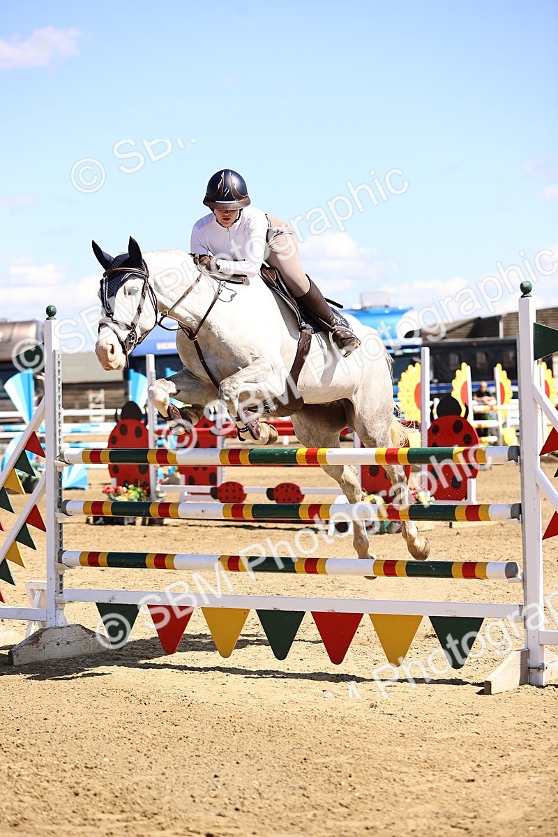 SBM_015065 - Class 16 - Senior foxhunter - 1.20m Open