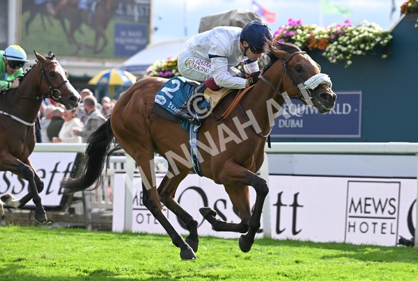 210825-214 Stellar Sunrise - Race 6 4.45pm Mews Hotel Ossett EBF Stallions Nursery Handicap