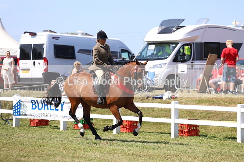 3E7A7638 - Rising Star Ridden Championship
