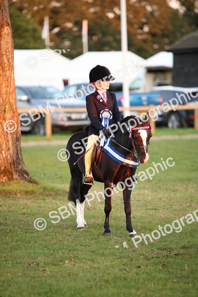 SBM_57102 - Super Supreme Championship