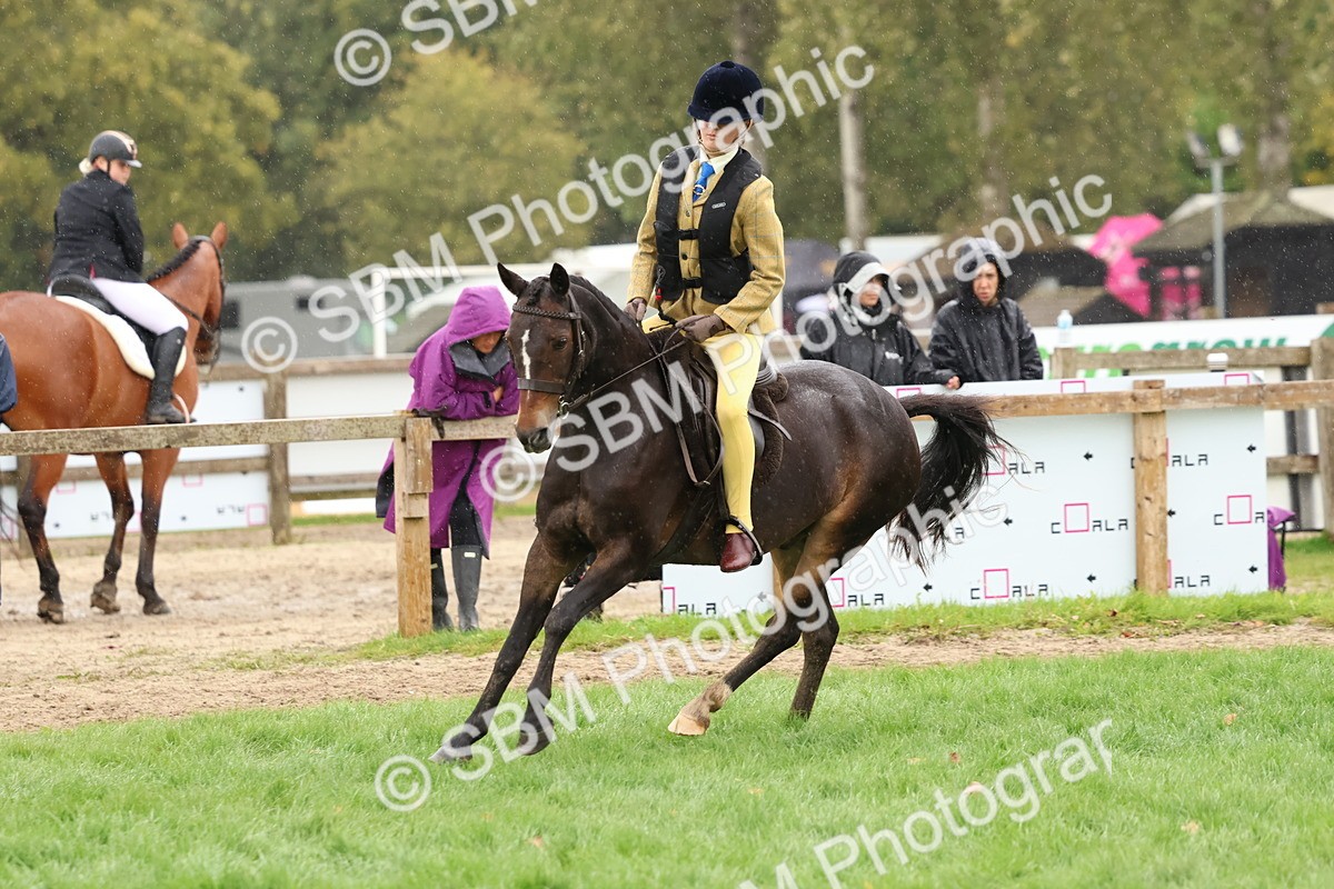 SBM_45062 - S27 - Young Veteran Ridden