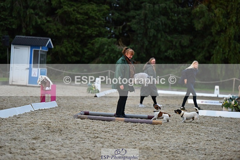 240523-202804-06905 - Hobby Horse Comp