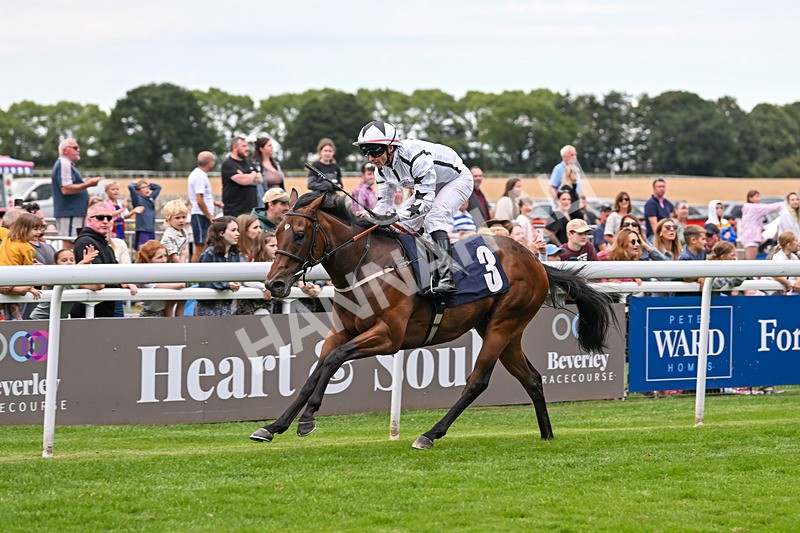 290725-Race 5-U Turn-0694 - Race 5