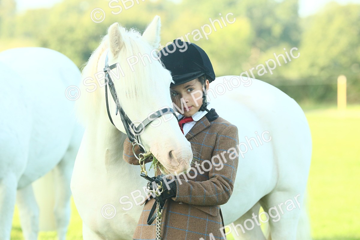 SBM_57497 - S37 - Starters In Hand Showing