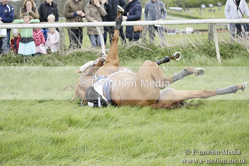 PtP 170417 45 - Old Berks Point-to-Point Lockinge 17/04/17