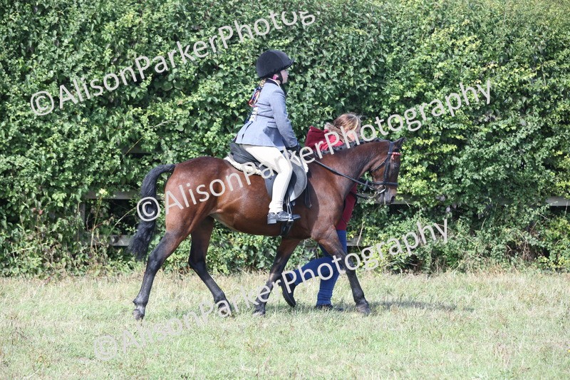 20250831-2621 - Class 17 - Lead Rein Pony