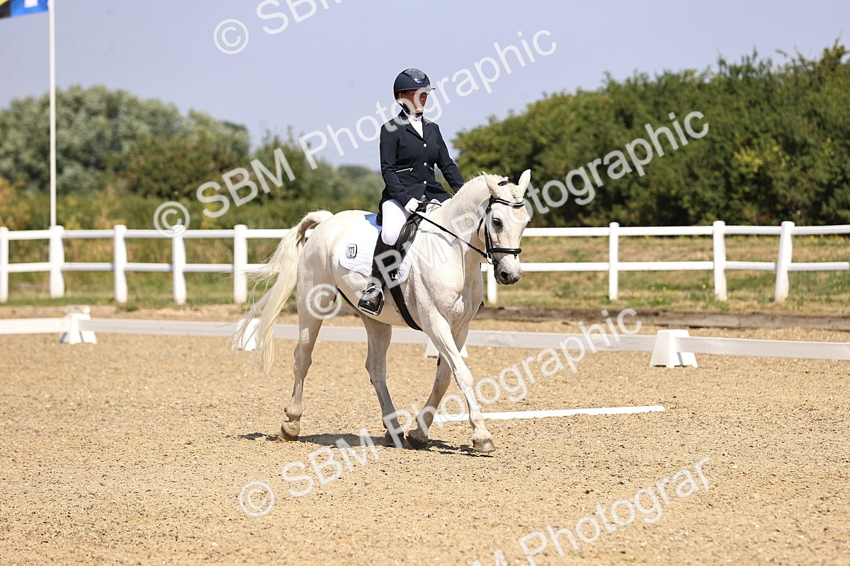 SBM_003653 - Intro 2