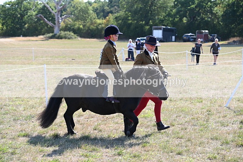WJ6_7442 - Class 34 Judges Choice