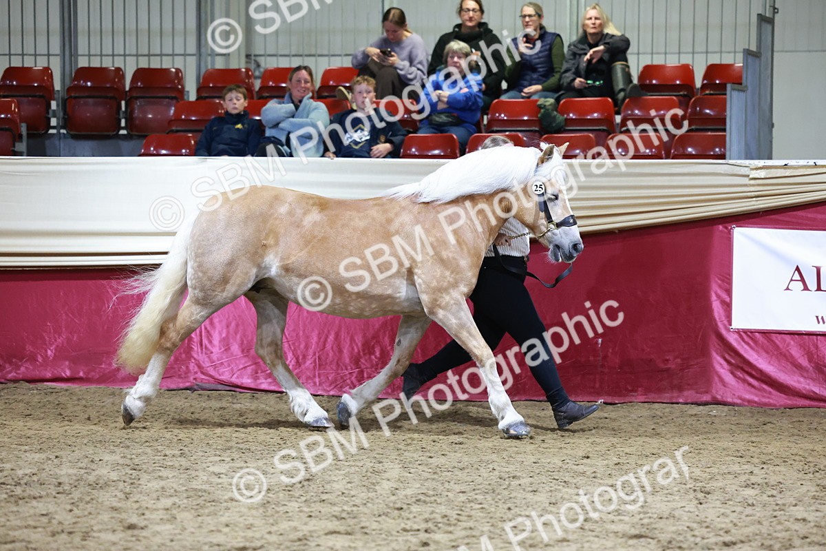 SBM_20672 - Class J - Foreign Breeds Champ