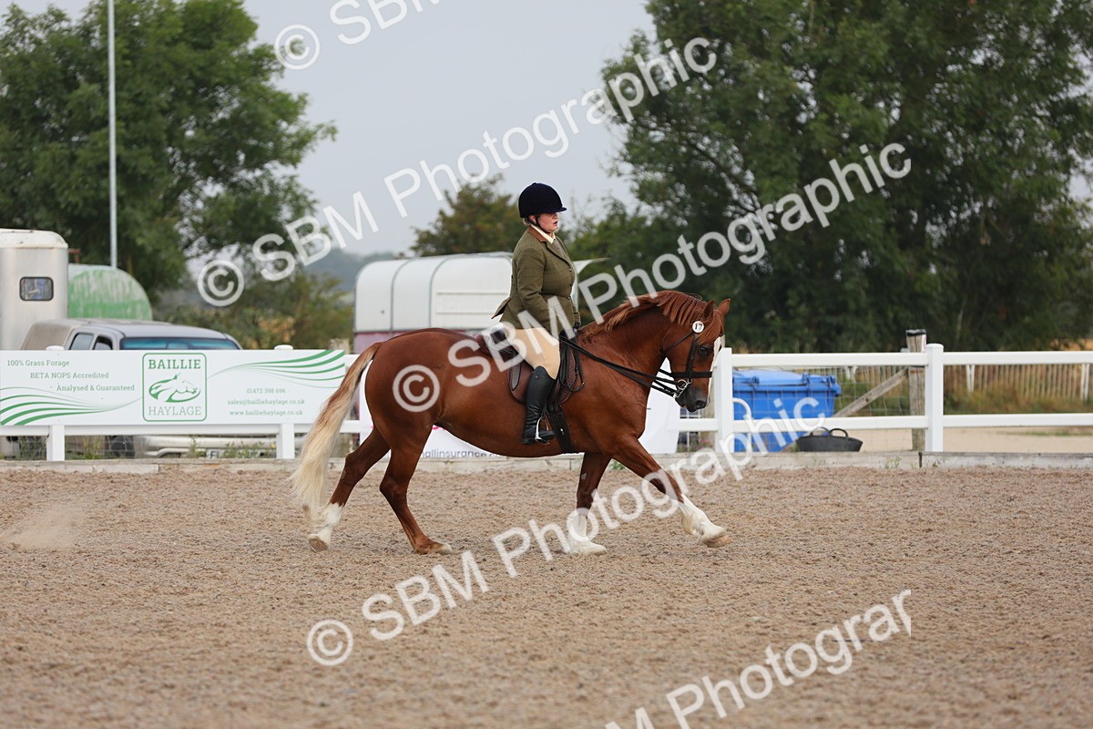 SBM_10021 - Class 302 Ridden M&M -Large Breeds