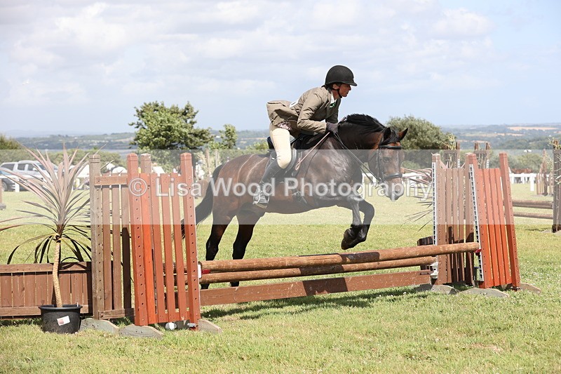 JPP_2170 - Class 19: Working Hunter 60cm