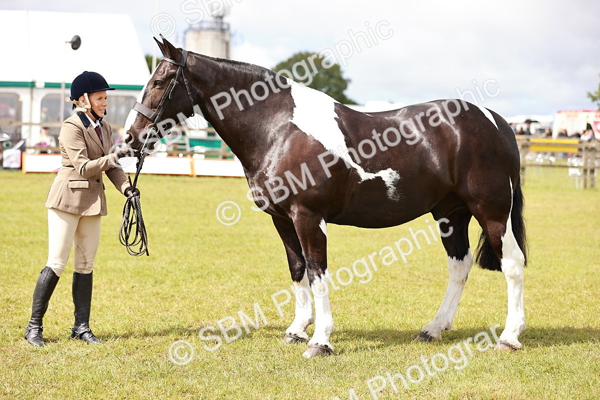 SBM_13145 - Class 85-87 - RIHS Cobs