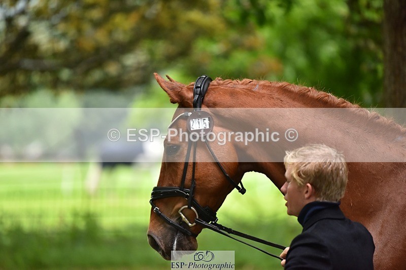 240522-163826-01056 - 215-RAMIRO_WANNABE-Finn_Healy