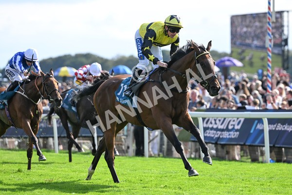 220825-217 Cape Flora - Race 5 4.10pm Assured Data Protection EBF Fillies' Handicap