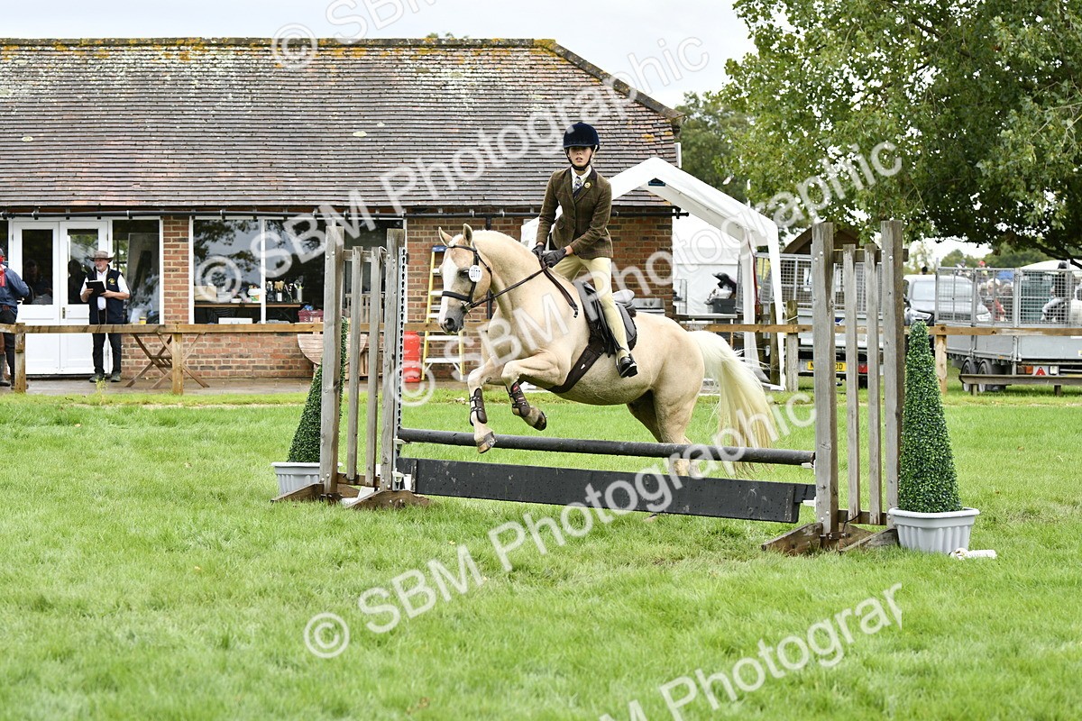 SBM_45590 - S33 - Working Hunter Pony