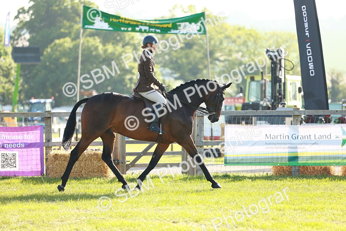 SBM_10726 - Class 66-69 - RIHS Ridden Hunters Inc Small Hunter