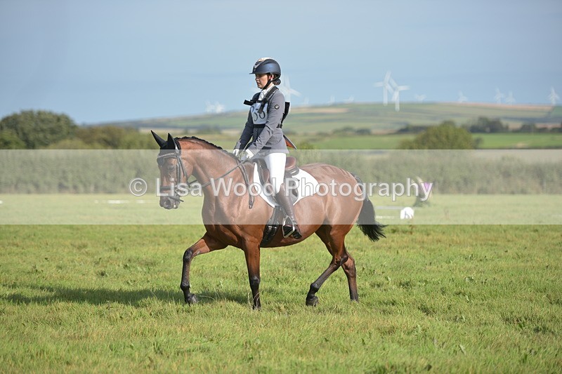 RAY_7535 - Class 2B: Trekenning Open: Dressage