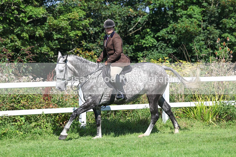 3E7A8388 - Class 4: Novice working Hunter