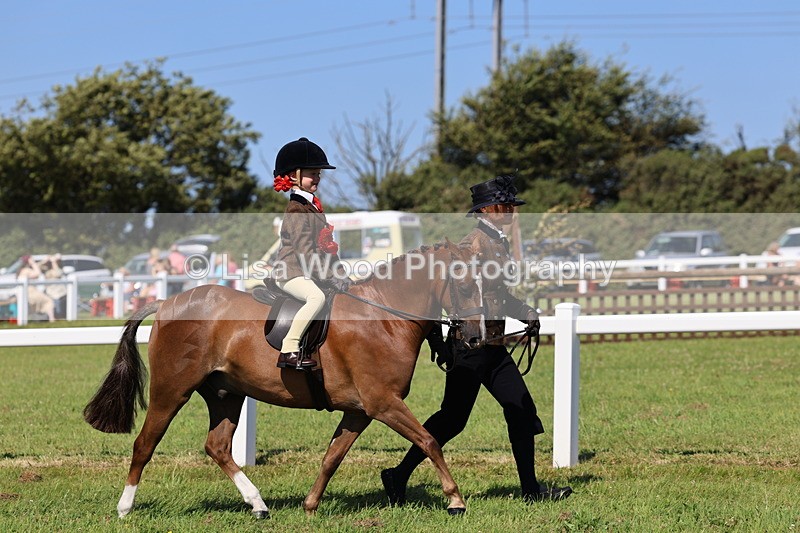 IMG_1842 - Plaited Mini Ridden Championship