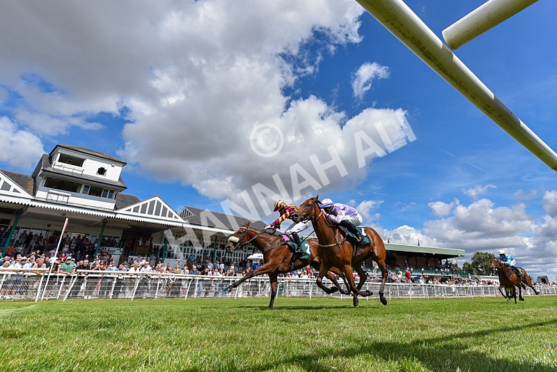 090725-Race 2-Oasis Diamond-6470 - Race 2