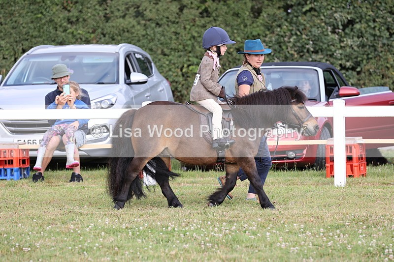 JPP_0234 - Class 14: Cornish Combination Leading Rein