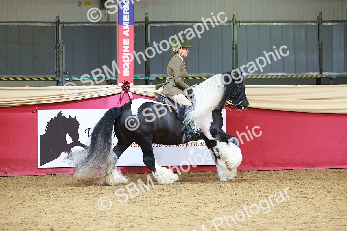 SBM_06190 - Class 12R - Ridden Pre-Vet