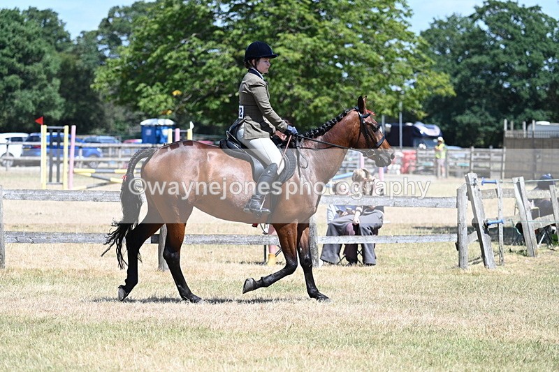WJ7_2853 - Class 7 Riding Club Show Horse