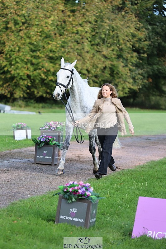 251026A-101909-22876 - D-329-Clementine.Montgomerie