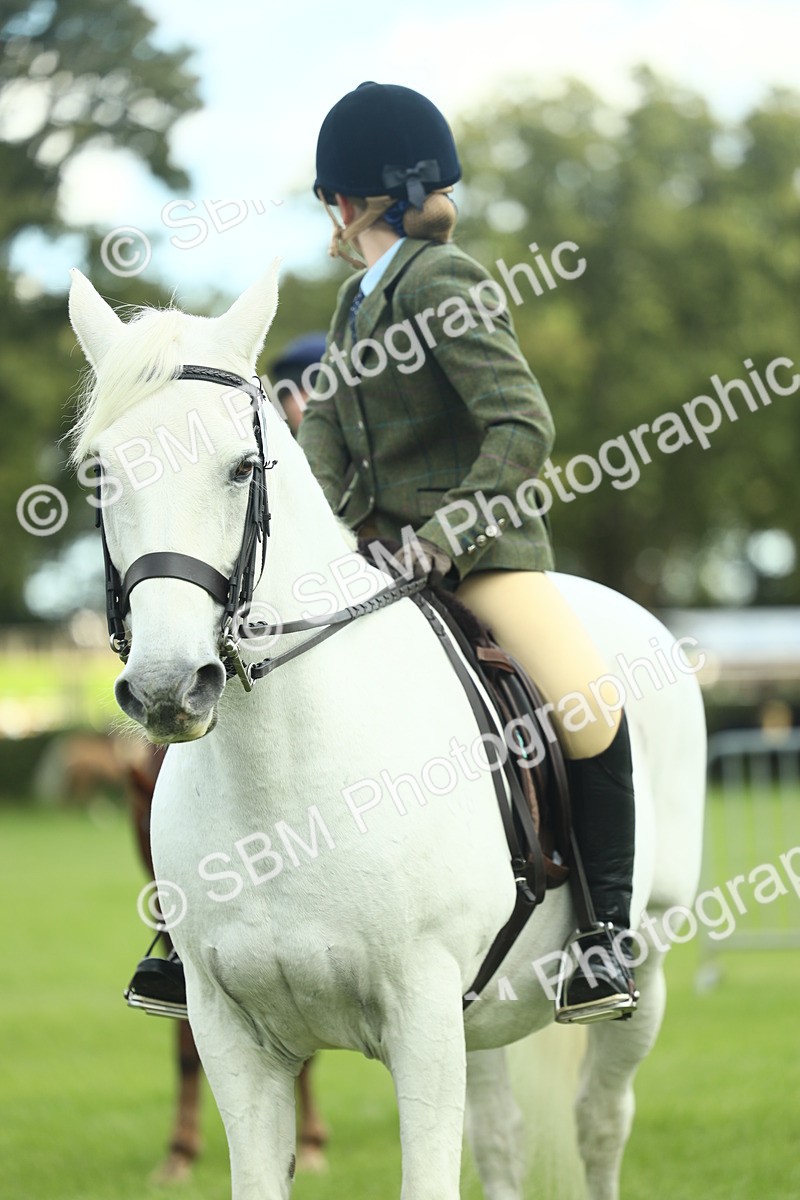 SBM_42160 - S29 - Novice & Newcomers Working Hunter Pony
