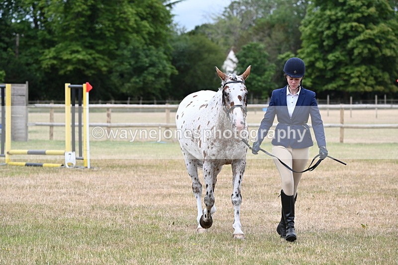 WJ6_4296 - Class 10 Coloured In-hand