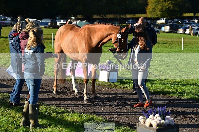231022-093420-21882 - 407-UNNAMED.(809948)-Lucy.Strong-TrotUp+SJ