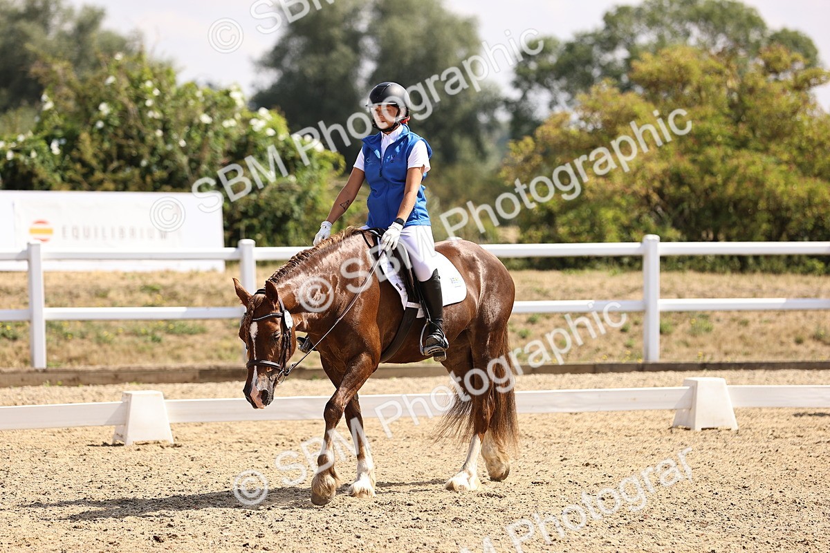 SBM_006543 - Intro 3 - 9.46-10.46