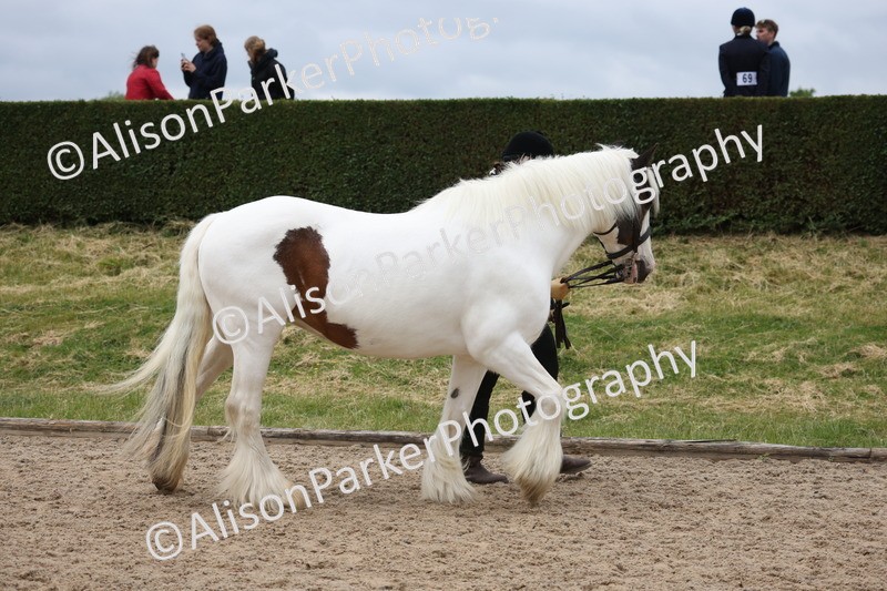 20250524-0603 - Class 7 - Veteran