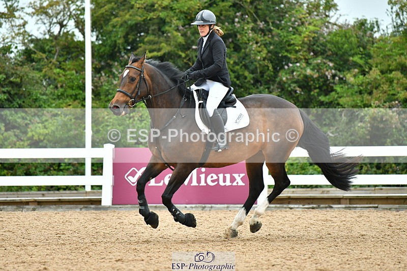 230730A-090601-08129 - Cls 31 British Novice & 90cm Open